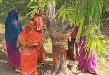मानव और प्रकृति के बीच रिश्ता कायम करती है– आंवला नवमी