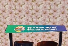 शहर की सफाई में जुटे नौ हजार से अधिक सफाईकर्मी