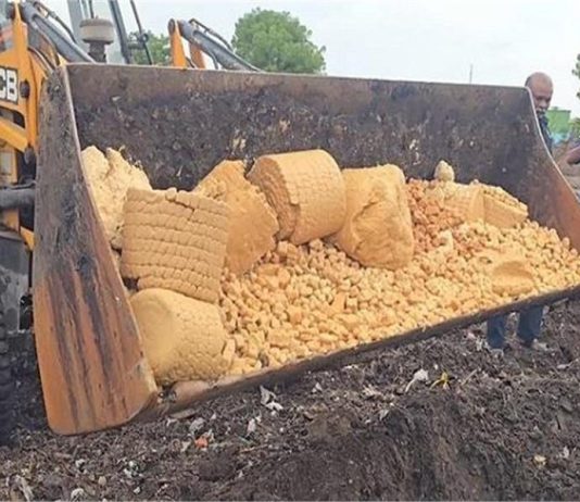 शिरडी में बड़ा फूड स्कैम! साईं मंदिर के पास 700 किलो नकली पेड़ा बरामद
