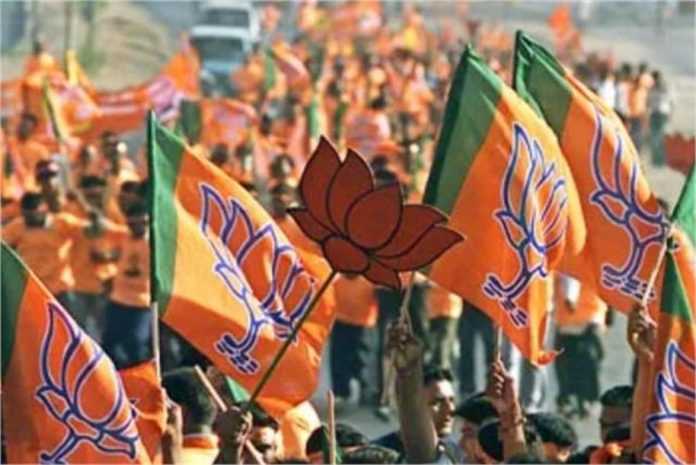 BJP की नई राष्ट्रीय टीम में MP को बड़ा तोहफा, इन 4 नेताओं की चमकी किस्मत, मिली बड़ी जिम्मेदारी! लिस्ट जारी