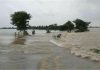 पूर्वांचल में झमाझम बारिश के बाद आफत: उफान पर राप्ती और रोहिन नदियां, कई जिलों में बाढ़ का खतरा
