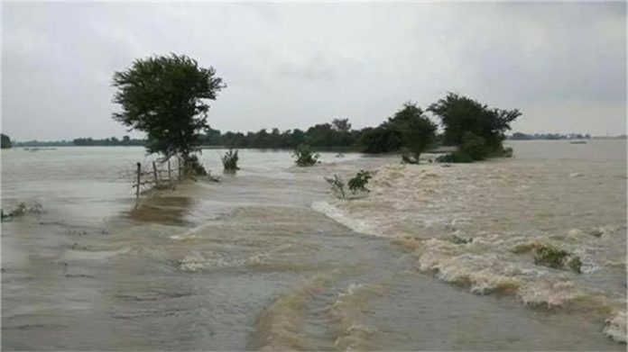 पूर्वांचल में झमाझम बारिश के बाद आफत: उफान पर राप्ती और रोहिन नदियां, कई जिलों में बाढ़ का खतरा पूर्वांचल में झमाझम बारिश के बाद आफत: उफान पर राप्ती और रोहिन नदियां, कई जिलों में बाढ़ का खतरा
