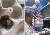 ब्लिंकिट आउटलेट पर छापा: अंडों में मिले कीड़े, स्वास्थ्य विभाग की सख्त कार्रवाई