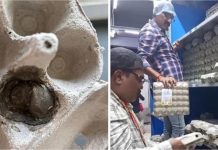 ब्लिंकिट आउटलेट पर छापा: अंडों में मिले कीड़े, स्वास्थ्य विभाग की सख्त कार्रवाई